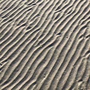 Meet your Posher, Lili